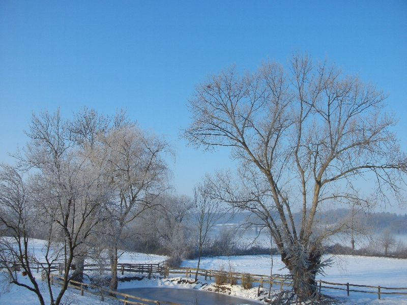 Vue sur la neige