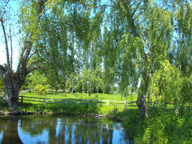 proche du zoo de la fleche