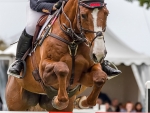 Jumping